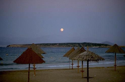 Surfing Beach Huts Santa Maria  Exteriér fotografie